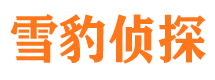 梁山市场调查